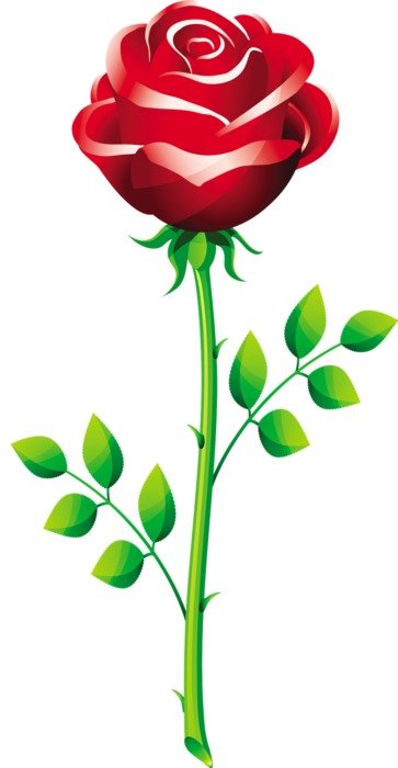 Rose Flower Clip Art drawing