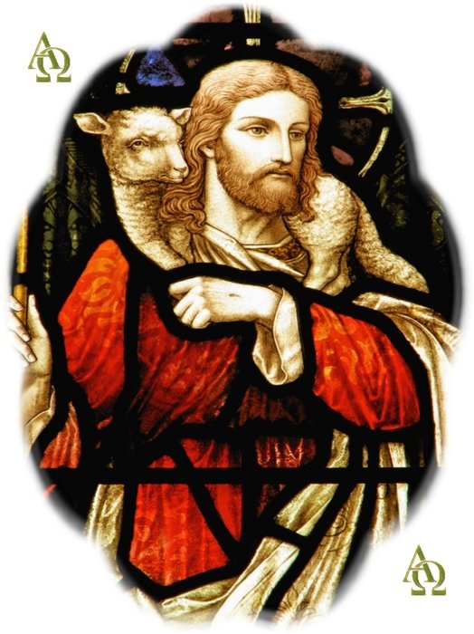 Good Shepherd N2