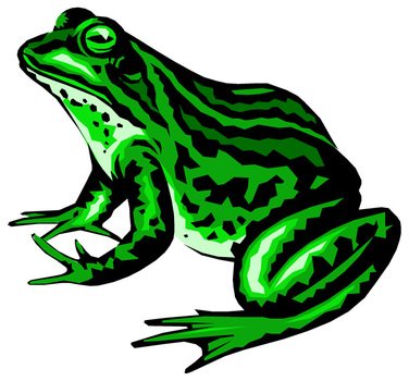 Frog Clip Art N114