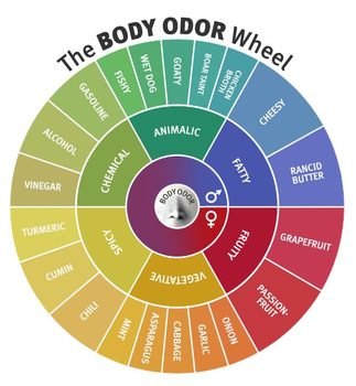 Body Odor With Deodorant