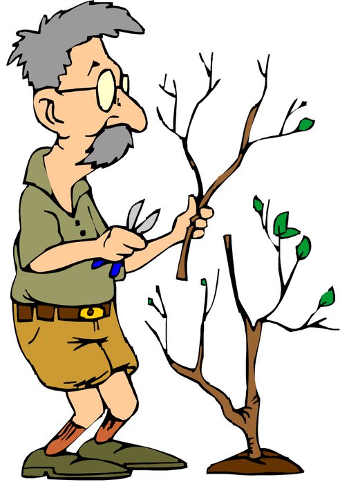 Tree Pruning Clip Art N4