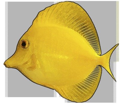 Tropical Fish Clip Art N55