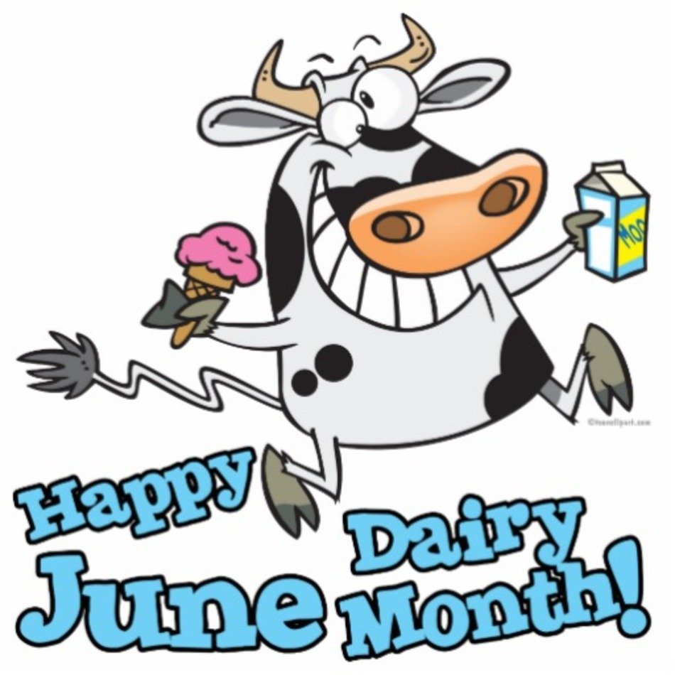 Funny Cow Cartoons N4