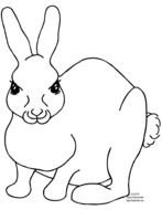 black and white picture of a hare for coloring
