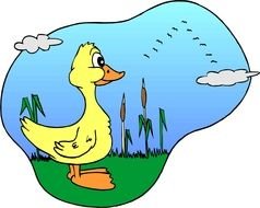 Cartoon yellow Duck drawing