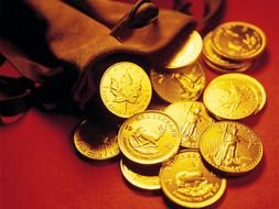 scattered gold coins