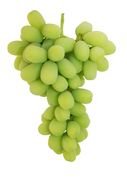 green bunch of grapes on a white background