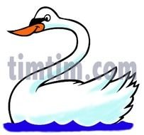 Cartoon Swan N2