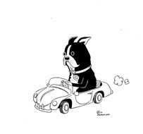 Boston Terrier Drawing