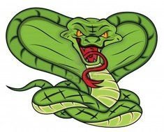 Snake Mascot drawing