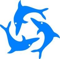 Dolphin Clip Art Black And White N13