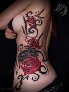 Rose Tattoo Designs drawing