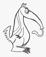 Anteater as a graphic illustration