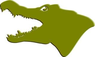 drawn crocodile head on a white background