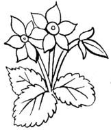Black And White Flower Clip Art N38