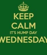 Funny Wednesday Hump Day N3