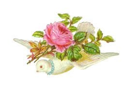 dove with rose on back, Victorian style painting