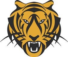 Tiger Head To Color drawing