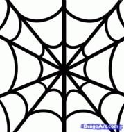 Spider Web Drawings N2