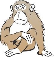 cartoon sitting monkey on a white background