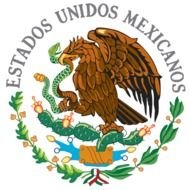 Mexican Flag N5
