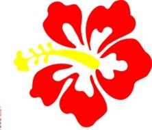 Red Hibiscus Clip Art