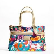 Colorful Coach darwing