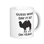 Funny Wednesday Hump Day N4