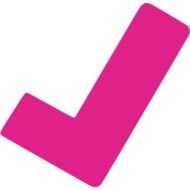 Red Check Mark Icon N2