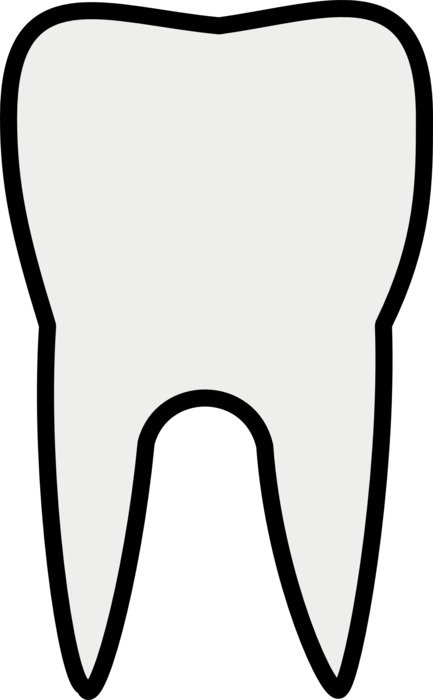 Tooth grey drawing