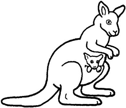 Kangaroo Coloring Pages N4
