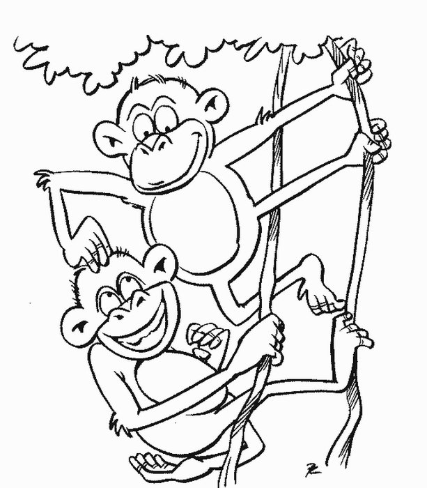 Free Monkey Coloring Pages Kids