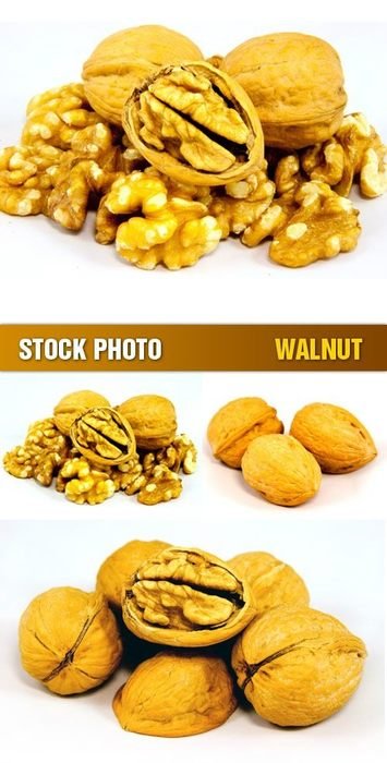 Walnut as a picture for clipart