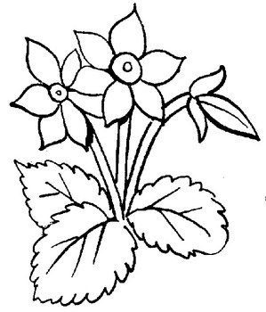 Black And White Flower Clip Art N38