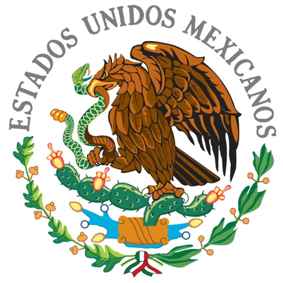 Mexican Flag N5