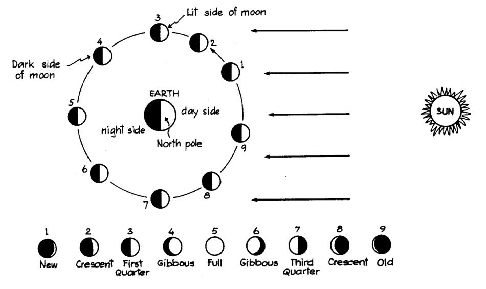 Sun Phases drawing free image download