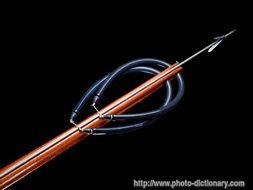 Fishing Spear Gun