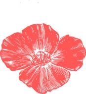 Peach Flower Clip Art Free