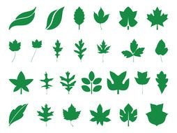 Clip art of green Leaf Silhouettes