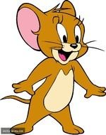 Tom Jerry Cartoon N4
