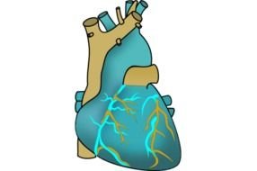 painted blue human heart