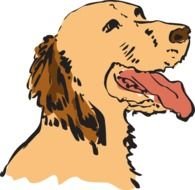 Hot Dog Clip Art N111
