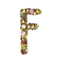 letter F made of peonies