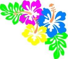 Blue Hibiscus Flower Clip Art