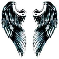 painted blue black wings