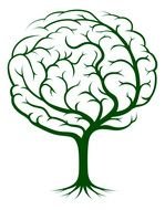 Brain Vector