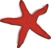 Starfish Clip Art N56