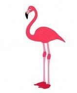 Pink Flamingo Clip Art Free N16