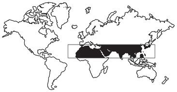 Black And White world map with selection
