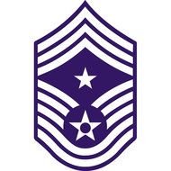 Air Force Chief Master Sergeant Insignia N2